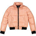 Vestes sur Grenoble : Veste Champion Bomber Jacket