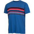 Polos sur Grenoble : Polo Astore CAMISETA CLEVE