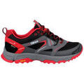 Randonn&eacute;e sur Grenoble : Chaussures Chiruca MAUI 09 GORE-TEX Multicolore