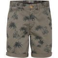 Shorts/Bermuda sur Grenoble : Short Blend Of America Shorts PALM