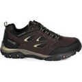 Chaussures Regatta Holcombe IEP Low MA Marron Grenoble