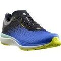 Running sur Grenoble : Chaussures Salomon Sonic Accelerate 4