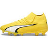 Chaussures de foot Puma ULTRA PRO FG/AG AM