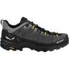 Chaussures Salewa ALP TRAINER 2 GTX M Gris