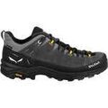 Randonn&eacute;e sur Grenoble : Chaussures Salewa ALP TRAINER 2 GTX M Gris