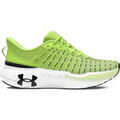 Running sur Grenoble : Chaussures Under Armour UA Infinite Elite