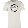 Polos sur Grenoble : Polo Rip Curl STRIPE CIRCLE TEE