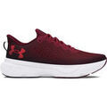 Running sur Grenoble : Chaussures Under Armour UA Infinite
