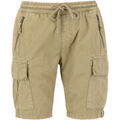 Shorts/Bermuda sur Grenoble : Short Alpha Industries Ripstop Jogger Short - sand