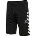 Shorts/Bermuda sur Grenoble : Short hummel hmlRAY 2.0 SHORTS