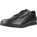 Baskets homme sur Grenoble : Baskets basses Geox U Renan