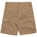Shorts/Bermuda sur Grenoble : Short Sebago Croix