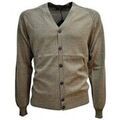 Gilets sur Grenoble : Gilet Bramante -