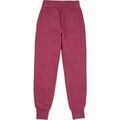 Sportswear sur Grenoble : Jogging Converse EMBROIDERED FLEECE PANT