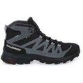 Randonn&eacute;e sur Grenoble : Chaussures Salomon X Ward Leather Mid Gtx W multicolor