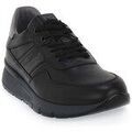 Baskets basses NeroGiardini 100 Sauvage Grenoble