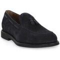Baskets homme sur Grenoble : Baskets basses NeroGiardini 200 Colorado Blu
