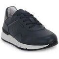 Baskets homme sur Grenoble : Baskets basses NeroGiardini Sauvage Grigio