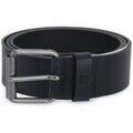 Ceintures sur Grenoble : Ceinture Timberland A23UE433