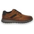 Baskets basses Bugatti Shoes 6300 Cognac