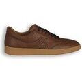 Baskets basses Frau Minorca Brown