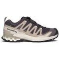 Randonn&eacute;e sur Grenoble : Chaussures Salomon Xa Pro 3d V9 Gtx W multicolor
