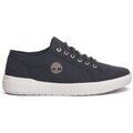 Baskets basses Timberland A66NN