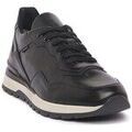 Baskets homme sur Grenoble : Baskets basses NeroGiardini 400412100