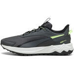 Chaussures Puma -