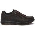 Chaussures Grisport 43069T8G multicolor