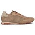 Baskets basses Hispanitas HV264596 Grenoble