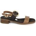 Mules femme sur Grenoble : Mules Aplauso 5894