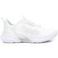 Baskets Refresh 17171501
