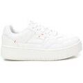 Baskets Refresh 17241002