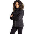 Vestes sur Grenoble : Veste Dare 2b Reputable II Jkt