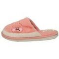 Chaussons / Pantoufles sur Grenoble : Chaussons Demax -