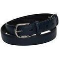 Ceintures sur Grenoble : Ceinture Zapatop -