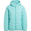 Vestes sur Grenoble : Veste Craghoppers Compresslite IX