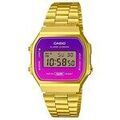 Hommes sur Grenoble : Montre Casio ty538110