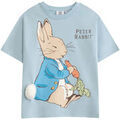 T-shirt enfant Peter Rabbit NS9927 Tee-shirts enfants sur Grenoble : T-shirt enfant Peter Rabbit NS9927