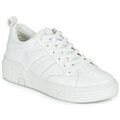 Baskets femme sur Grenoble : Baskets montantes Palladium EGO 03 LEA~WHITE/WHITE~M