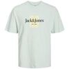 T-shirt enfant Jack & Jones 12278107