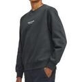 Pulls/Sweat sur Grenoble : Sweat-shirt enfant Jack & Jones Esterbro