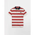 Polo TBS SERGOPOL Grenoble
