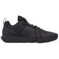 Baskets homme sur Grenoble : Baskets basses Timberland Baskets WINSOR TRAIL LOW LACE UP