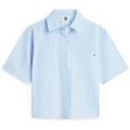 Chemises sur Grenoble : Chemise Tommy Hilfiger WW0WW48899