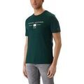 Tee-shirts sur Grenoble : T-shirt Tommy Hilfiger MW0MW42365