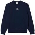 Pulls/Sweat sur Grenoble : Sweat-shirt Lacoste SH2736-166