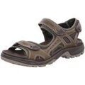 Randonn&eacute;e sur Grenoble : Chaussures Ecco - Marron