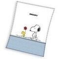 Linge de maison sur Grenoble : Couvertures Peanuts AG2915